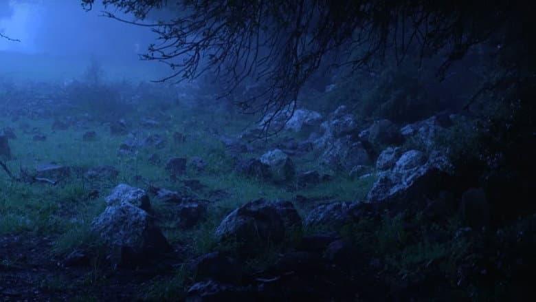 Backdrop from Fog
