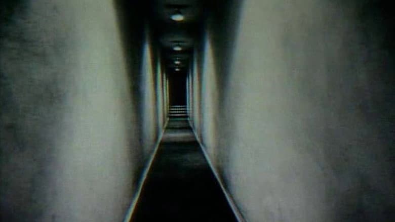 Backdrop from Corridor