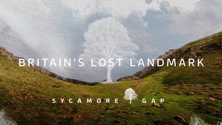 Backdrop from Sycamore Gap: Britain's Lost Landmark