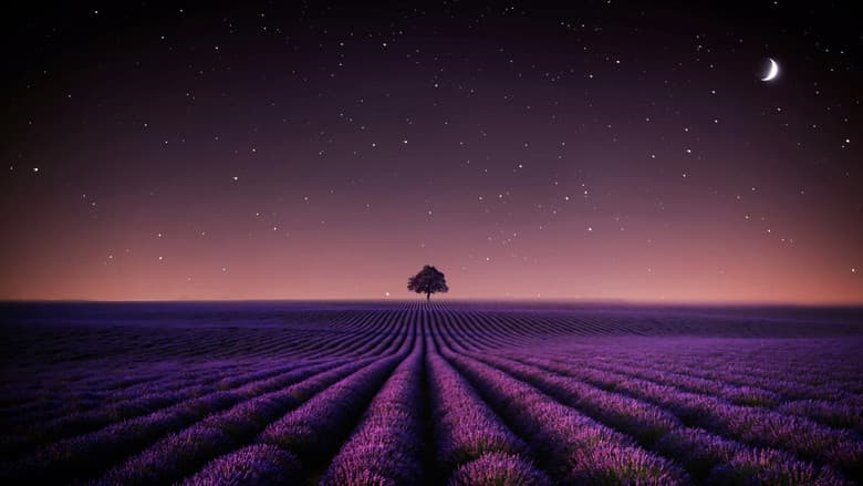 Backdrop from Adieu Aurora