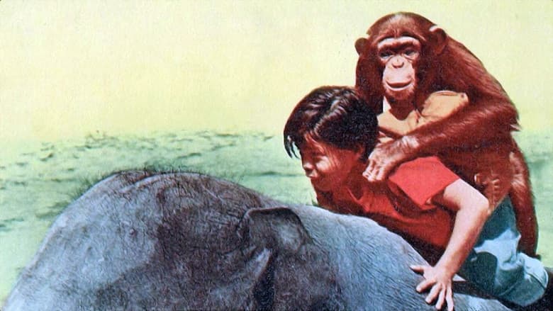 Backdrop from Taffy and the Jungle Hunter