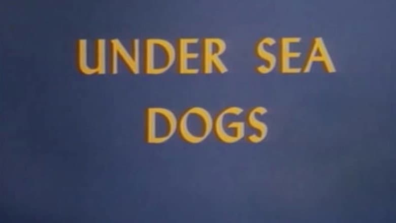 Backdrop from Under Sea Dogs