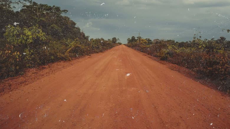 Backdrop from Transamazonica: A Highway to the Past
