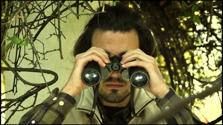Backdrop from The Birdwatcher