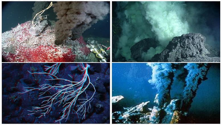 Backdrop from Volcanoes of the Deep Sea