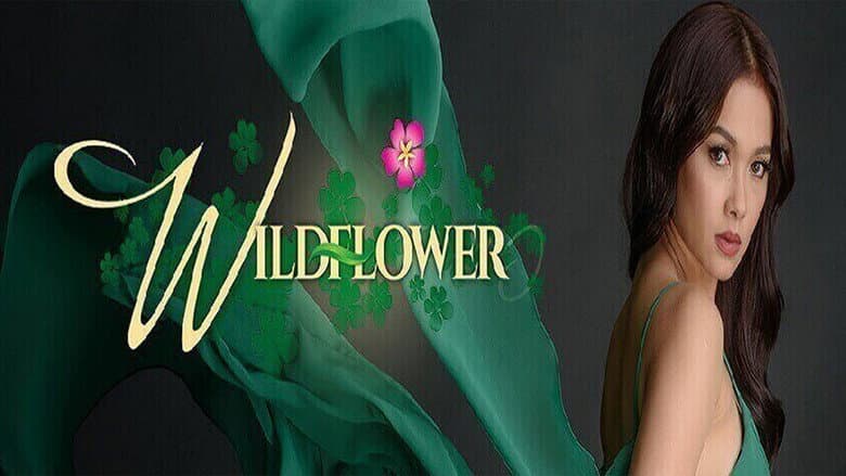 Backdrop from Wildflower