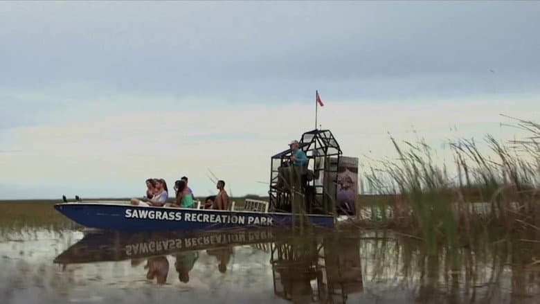 Backdrop from Lake Fear 2: The Swamp
