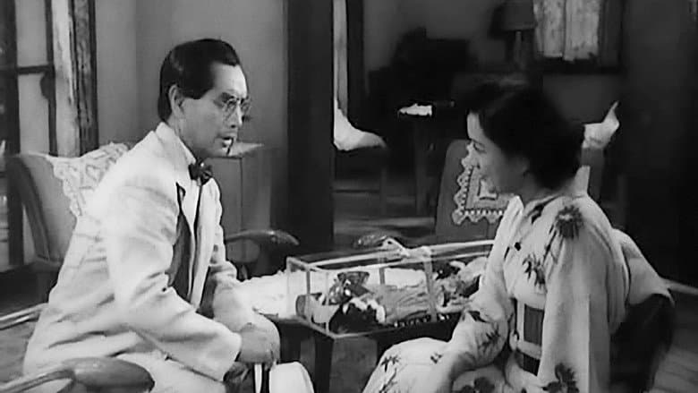 Backdrop from The Lady of Musashino