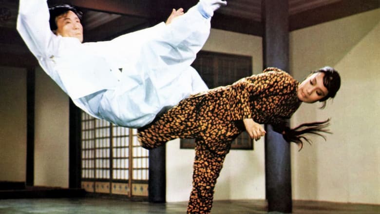 Backdrop from Hapkido