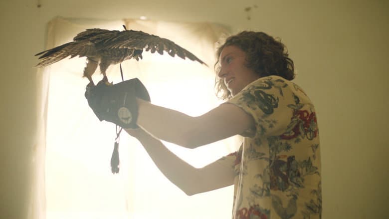 Backdrop from The Falconer