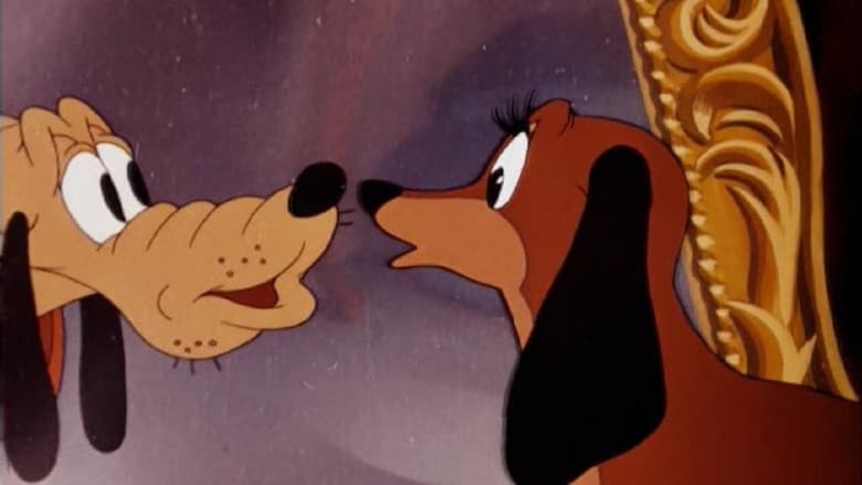 Backdrop from Canine Casanova