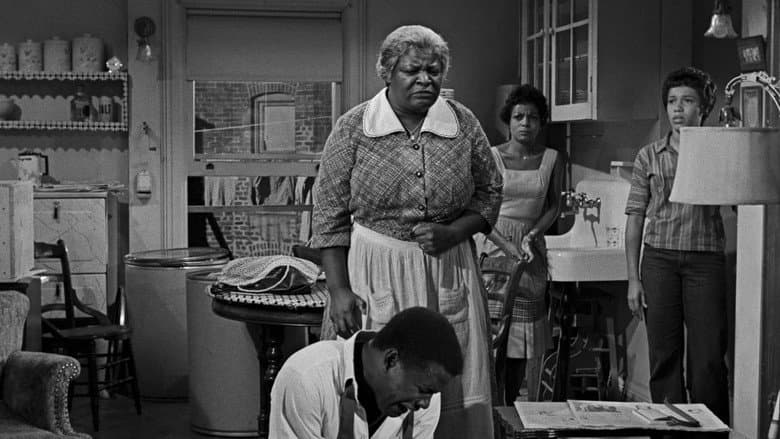 Backdrop from A Raisin in the Sun