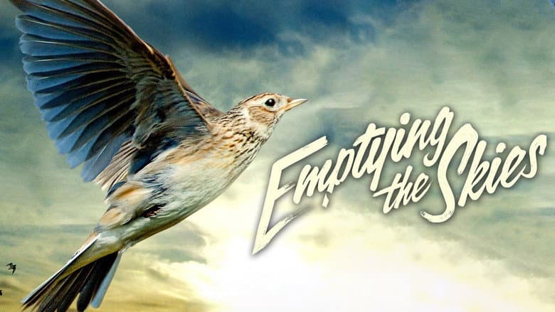 Backdrop from Emptying the Skies