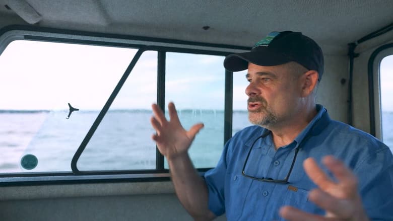Backdrop from Climate Change Along Connecticut's Coast