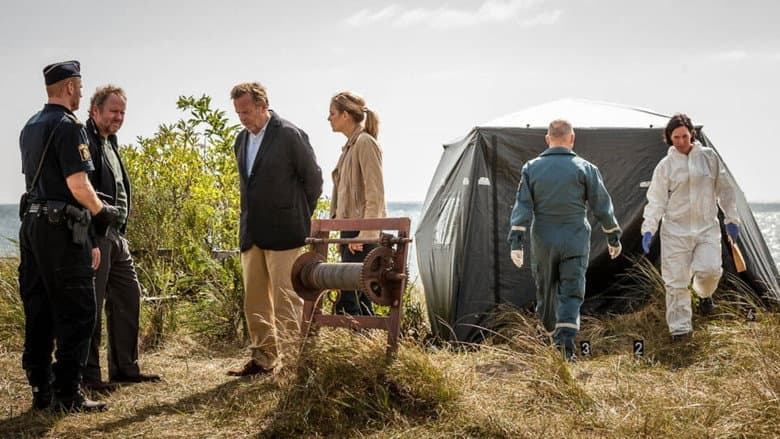 Backdrop from Wallander: The Betrayal