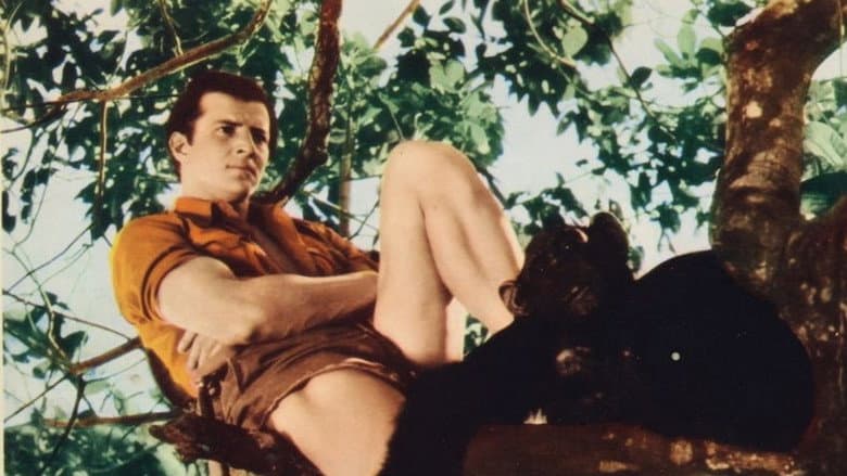 Backdrop from Tarzan and the Green Goddess