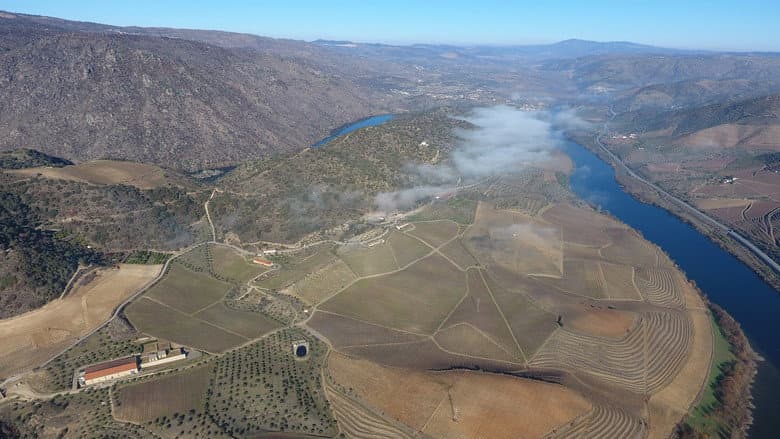 Backdrop from The Douro Boys: Winter Season