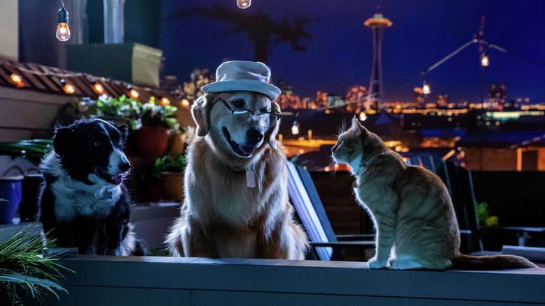 Backdrop from Cats & Dogs 3: Paws Unite