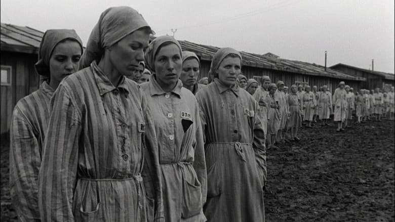 Кадр із фільму «Капо (фільм, 1960)»