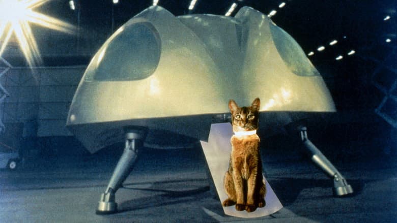 Backdrop from The Cat from Outer Space