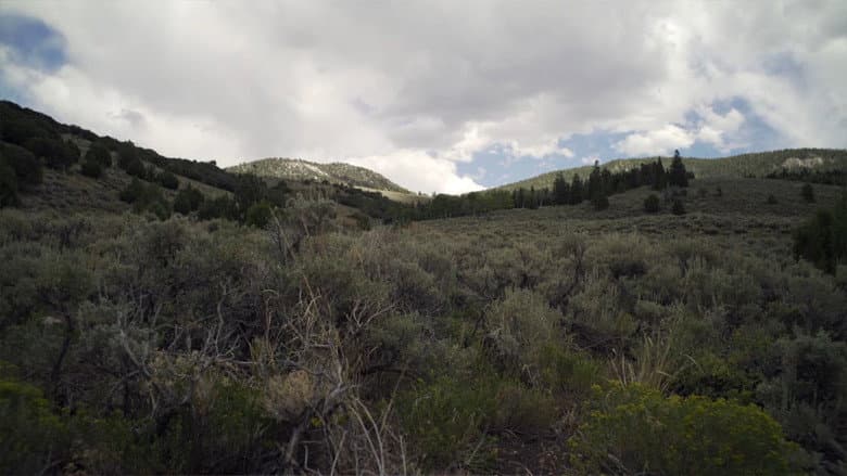 Backdrop from Horror in the High Desert