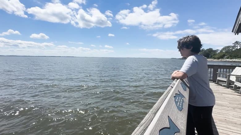 Backdrop from A Summer Story