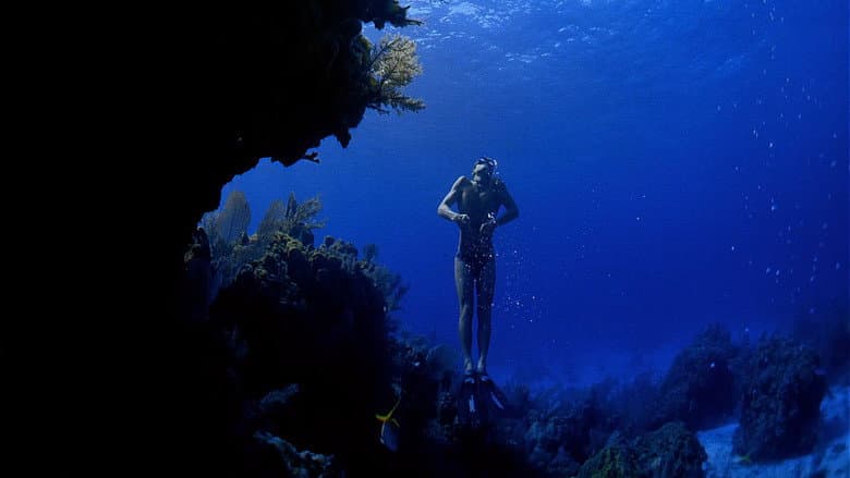 Backdrop from Ocean Men, Extreme Dive