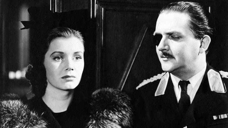 Backdrop from His Excellency
