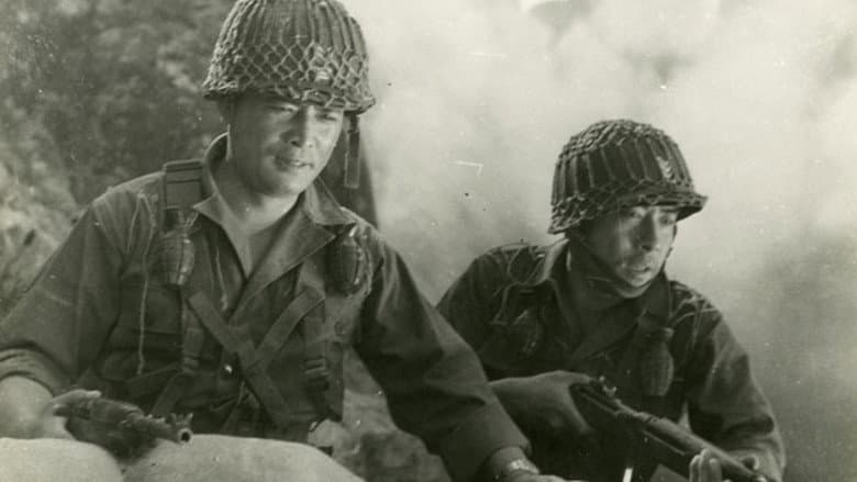 Backdrop from The War and an Old Man