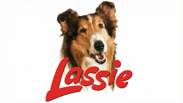 Backdrop from Lassie: Countdown