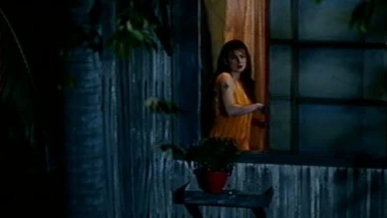 Backdrop from Woman by the Window