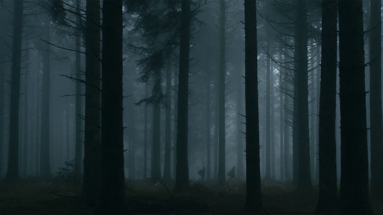 Backdrop from Dark Heart of the Forest