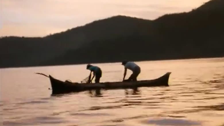 Backdrop from Paraty - Impressões