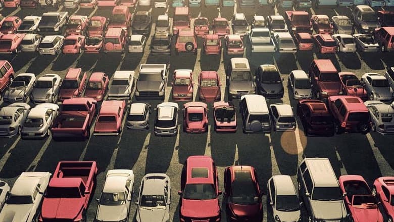 Backdrop from The Parking Lot Movie