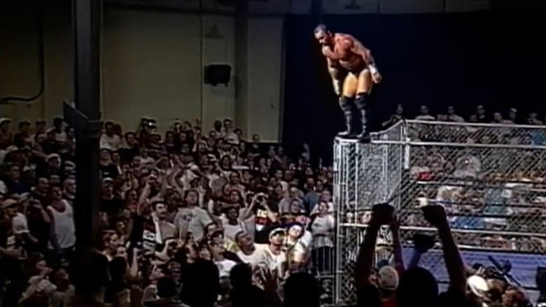 Backdrop from ECW Natural Born Killaz