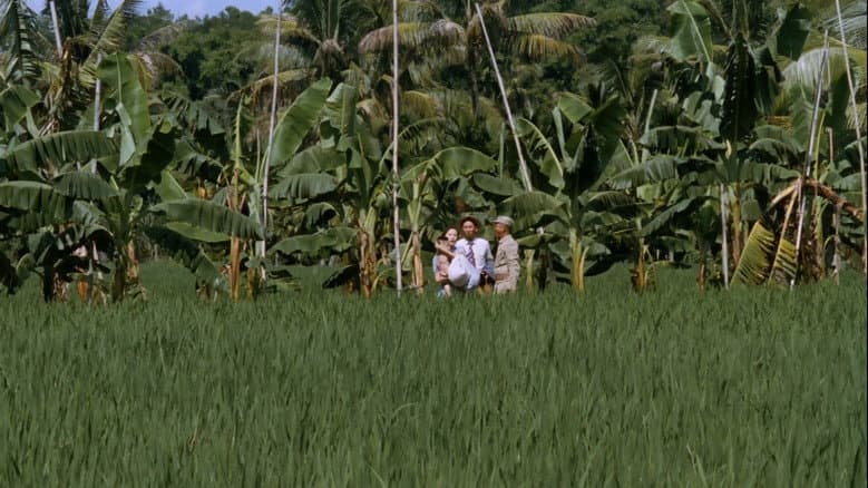 Backdrop from Banana Paradise