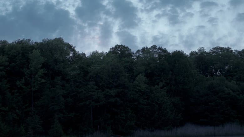 Backdrop from In Ruins
