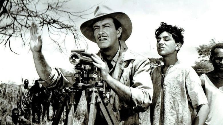 Backdrop from Killers of Kilimanjaro