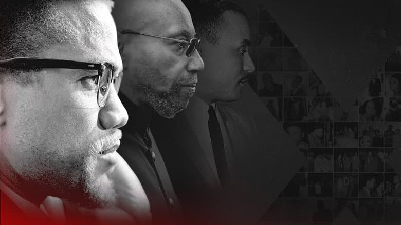 Backdrop from Soul of a Nation Presents: X / o n e r a t e d – The Murder of Malcolm X and 55 Years to Justice