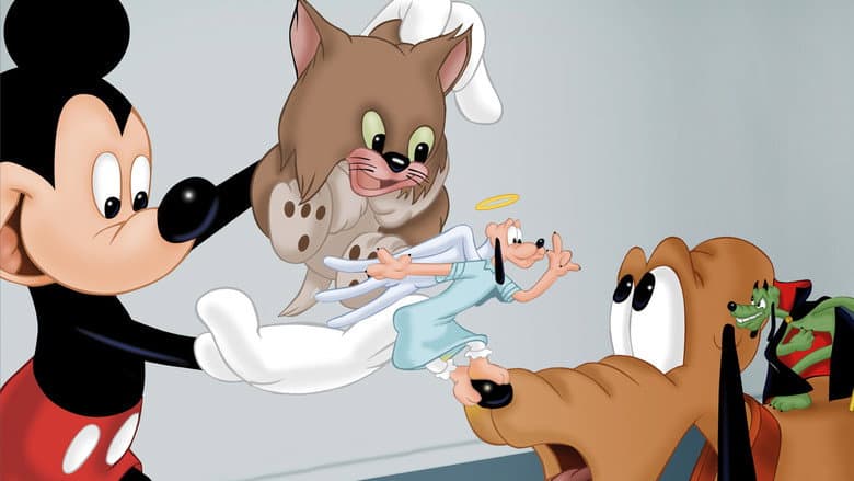 Backdrop from Lend a Paw