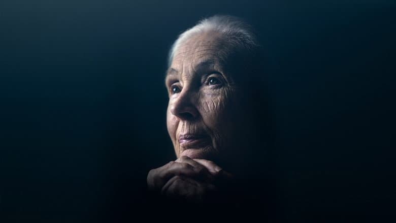 Backdrop from Jane Goodall: The Hope
