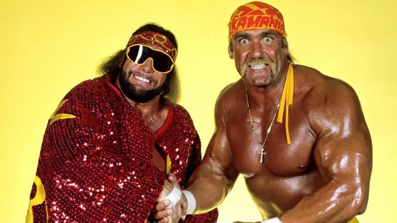 Backdrop from WWE Survivor Series 1988