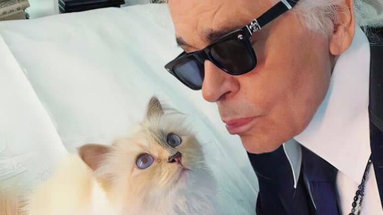Backdrop from The Mysterious Mr. Lagerfeld