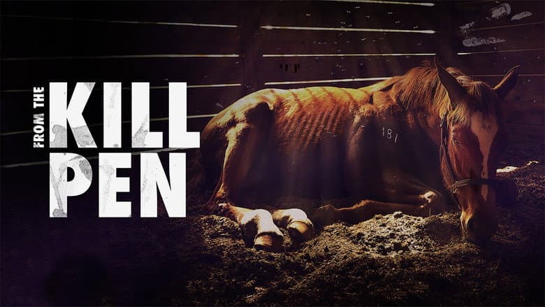 Backdrop from From the Kill Pen
