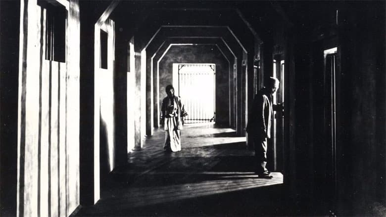 Backdrop from A Page of Madness