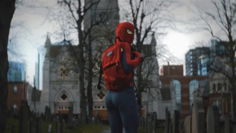 Backdrop from Spider-Man: Celebration