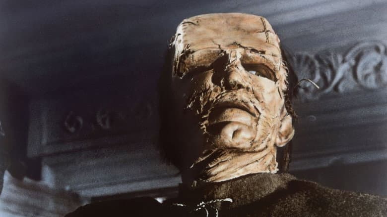 Backdrop from The Evil of Frankenstein