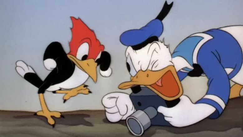 Backdrop from Donald's Camera