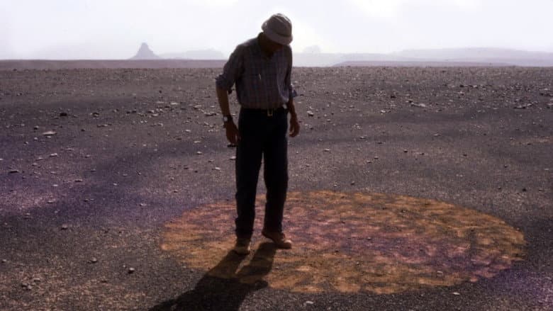 Backdrop from Stones and Flies: Richard Long in the Sahara