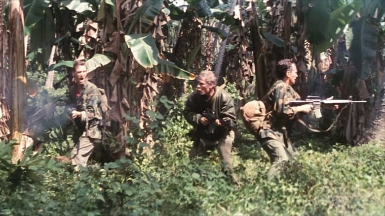Backdrop from Cobra Mission